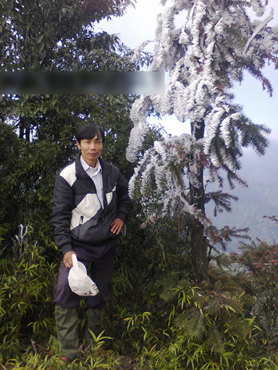 Băng tuyết, hình ảnh, Nghệ An, sương muối, địa phương