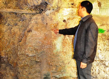 Vỏ sò, ốc hóa thạch xếp thành từng lớp.