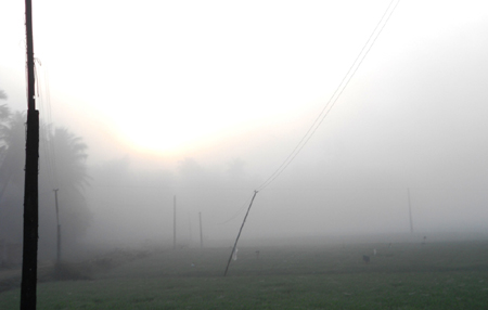 sương mù, dày đặc, hiếm gặp, đầu năm mới, Bình Định