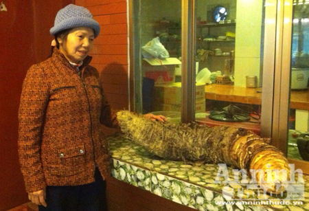 Bà Thơ bên củ khoai khổng lồ do mình đào được