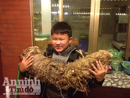 Bà Thơ bên củ khoai khổng lồ do mình đào được