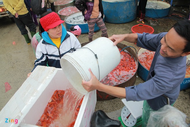 Chợ cá lớn nhất Hà Nội rực vàng ngày ông Công, ông Táo Thị trường