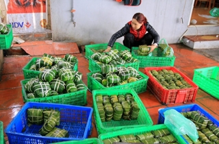 Làng bánh chưng Tranh Khúc hối hả chạy Tết