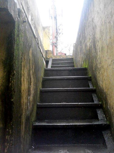 teen, trẻ, kinh-doanh, zone-9, cháy