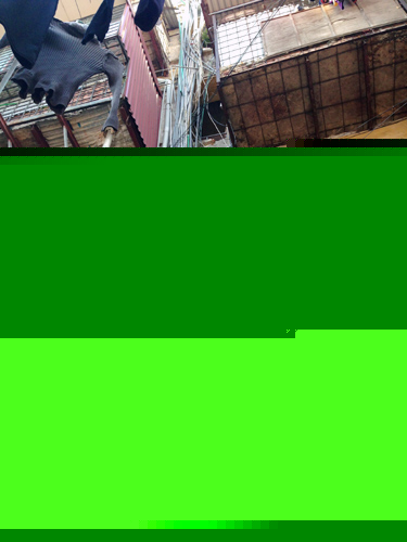 Hà-Nội, đường-ống, nước-thải, khu-tập-thể, ô-nhiễm, mất-vệ-sinh, người-dân, kêu-cứu, Hà-Nội, đường-ống, nước-thải, khu-tập-thể, ô-nhiễm, mất-vệ-sinh, người-dân, kêu-cứu,