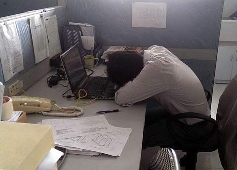công sở, ngủ trưa, ngủ trưa tại công sở