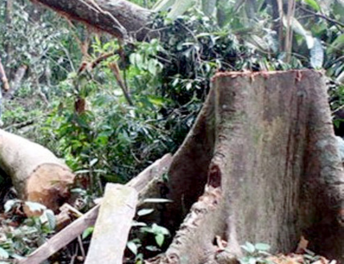 Thêm nhiều người chết vì khai thác ươi ở miền Trung 14-7-Anh-1-Khai-thac-uoi-3165-1405336636