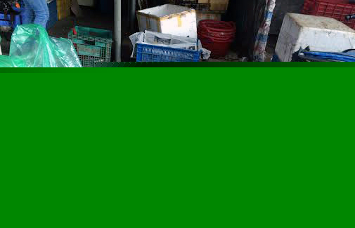 hoa-quả, thối, dập-nát, chợ, nhặt, mua, sinh-tố, quán-cà-phê, nước-ép, trái-câu, Long-Biên hoa-quả, thối, dập-nát, chợ, nhặt, mua, sinh-tố, quán-cà-phê, nước-ép, trái-câu, Long-Biên