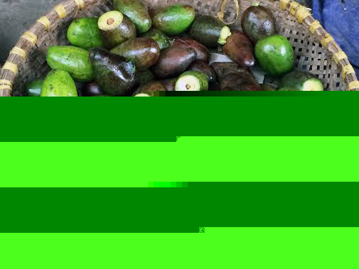 hoa-quả, thối, dập-nát, chợ, nhặt, mua, sinh-tố, quán-cà-phê, nước-ép, trái-câu, Long-Biên hoa-quả, thối, dập-nát, chợ, nhặt, mua, sinh-tố, quán-cà-phê, nước-ép, trái-câu, Long-Biên