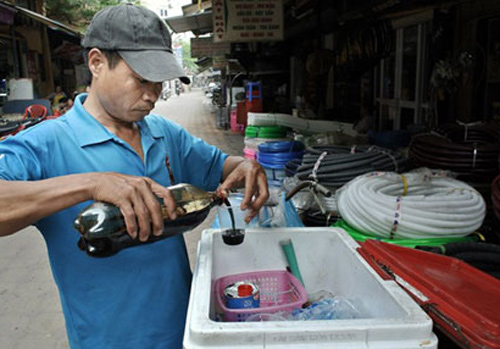 mía đá, trà đá, thực phẩm, vỉa hè, đồ ăn, đậu phụ rán, cafe dạo, buôn bán vỉa hè, tiểu thương, kinh doanh