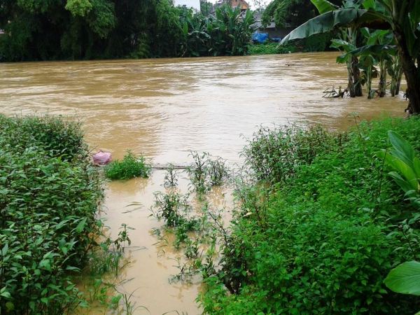 Nước lũ dâng cao tại nhiều sông suối ở Cao Bằng gây ngập hoa màu bà con