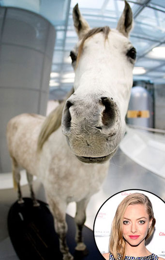 Những cách 'ném tiền qua cửa sổ' của sao 8-5209-1406686384.jpg