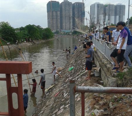 Hiện tượng đánh bắt diễn ra trên gần 1 km đoạn sông Tô Lịch của xã Thanh Liệt, giáp đường 70.