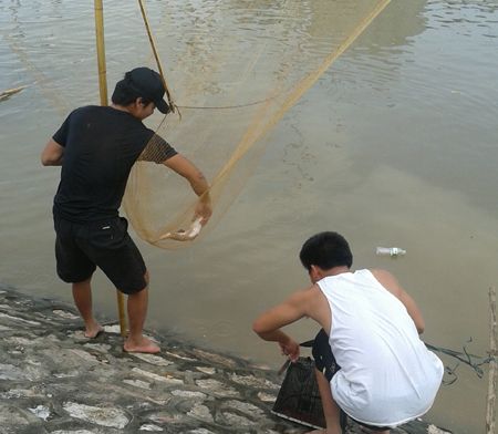 Một thanh niên đang bắt cá từ dưới vó.