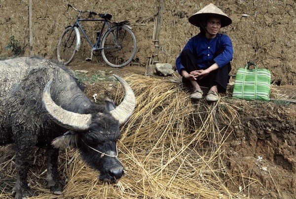 Việt Nam năm 1994 bình dị qua ống kính nhiếp ảnh gia Pháp 12