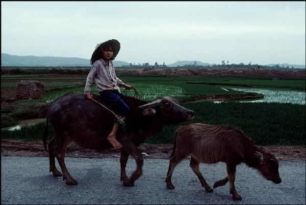 Việt Nam năm 1994 bình dị qua ống kính nhiếp ảnh gia Pháp 26