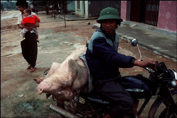 Việt Nam năm 1994 bình dị qua ống kính nhiếp ảnh gia Pháp 28