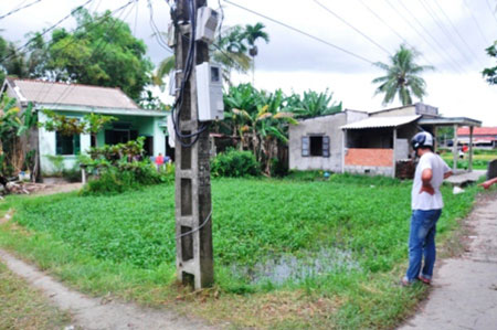 Đi hái rau muống, bị điện giật tử vong 1 Đi hái rau muống, bị điện giật tử vong 1