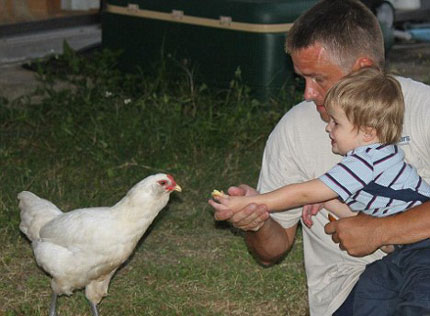 ‘Bác sĩ’ gà giúp bé 2 tuổi điều trị bệnh tự kỷ