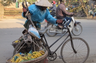 Ông lão 85 tuổi vẫn chưa chịu "nghỉ hưu"