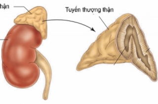 28 tuổi mới biết mình là ... phụ nữ