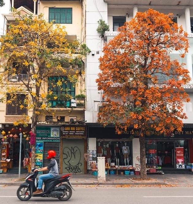 Hà Nội mùa cây thay lá