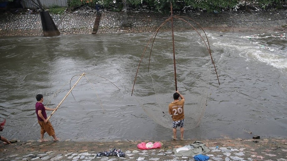 Hà Nội: Mưa lớn khiến nước dâng cao ở nhiều sông