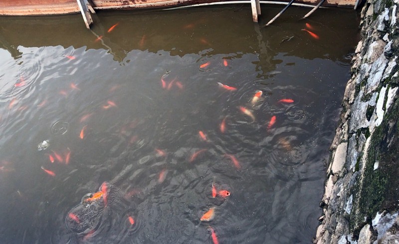 da co ket qua ve mau nuoc thi diem o ho tay