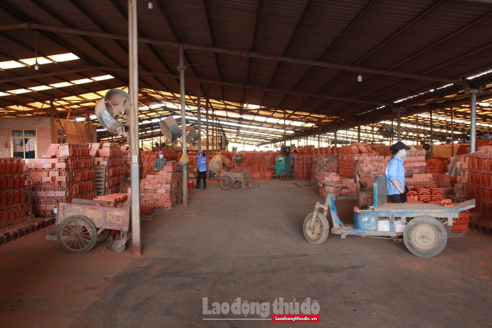 Huyện Mê Linh: Duy trì tăng trưởng kinh tế trong bối cảnh dịch bệnh