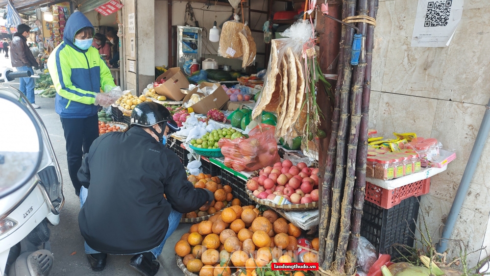 Giá cam Hà Giang tăng cao nhưng vẫn khan hàng