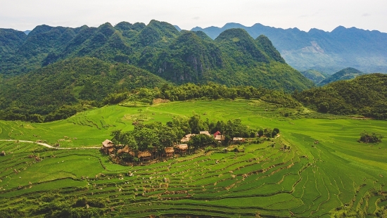 Những ngôi nhà gần gũi với thiên nhiên “độc nhất vô nhị” ở Việt Nam