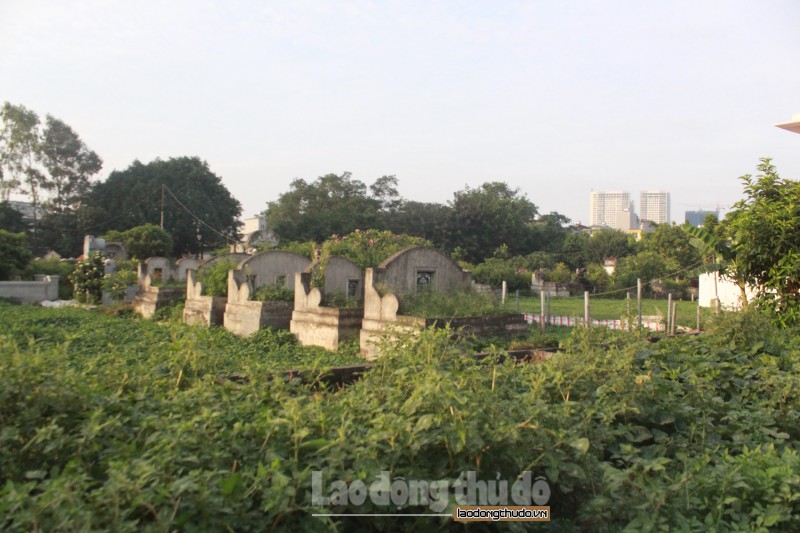 Quy hoạch dự án nghĩa trang tại huyện Thanh Trì: Sẽ dựa theo quy định và tình hình thực tế