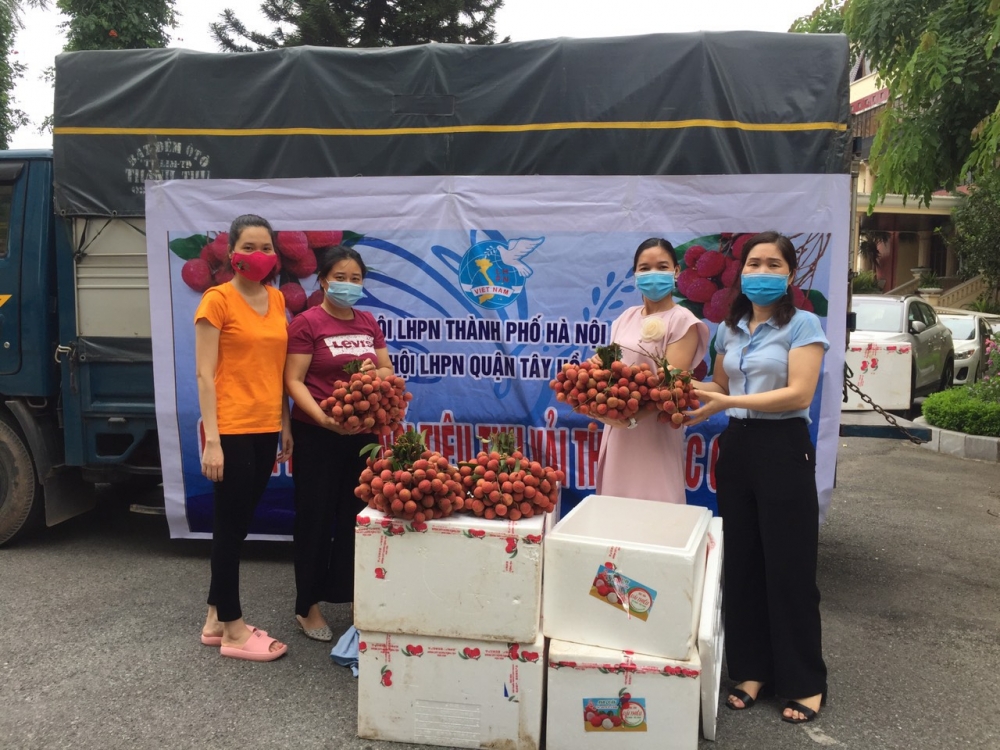 Hội Liên hiệp phụ nữ quận Tây Hồ hỗ trợ tiêu thụ vải thiều cho nông dân Bắc Giang
