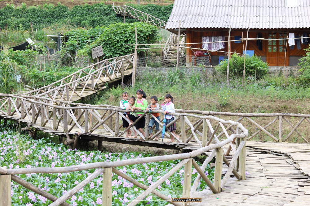 Bình yên ở bản Cát Cát