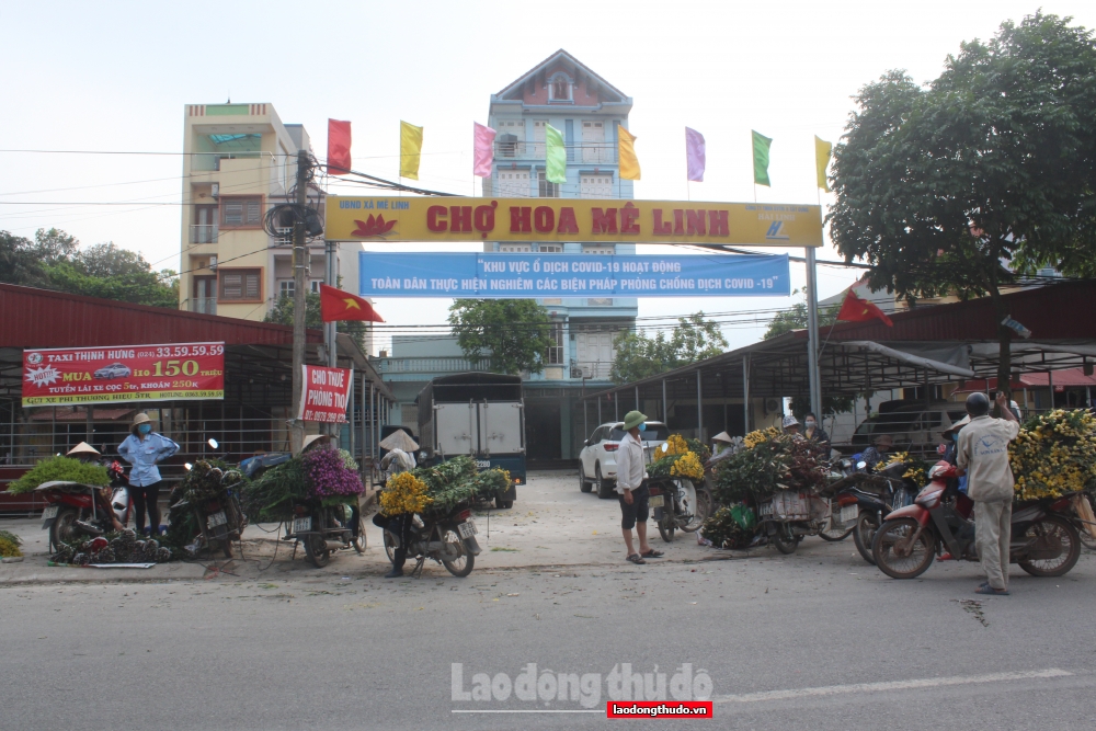 Huyện Mê Linh phấn đấu về đích nông thôn mới trong năm 2021