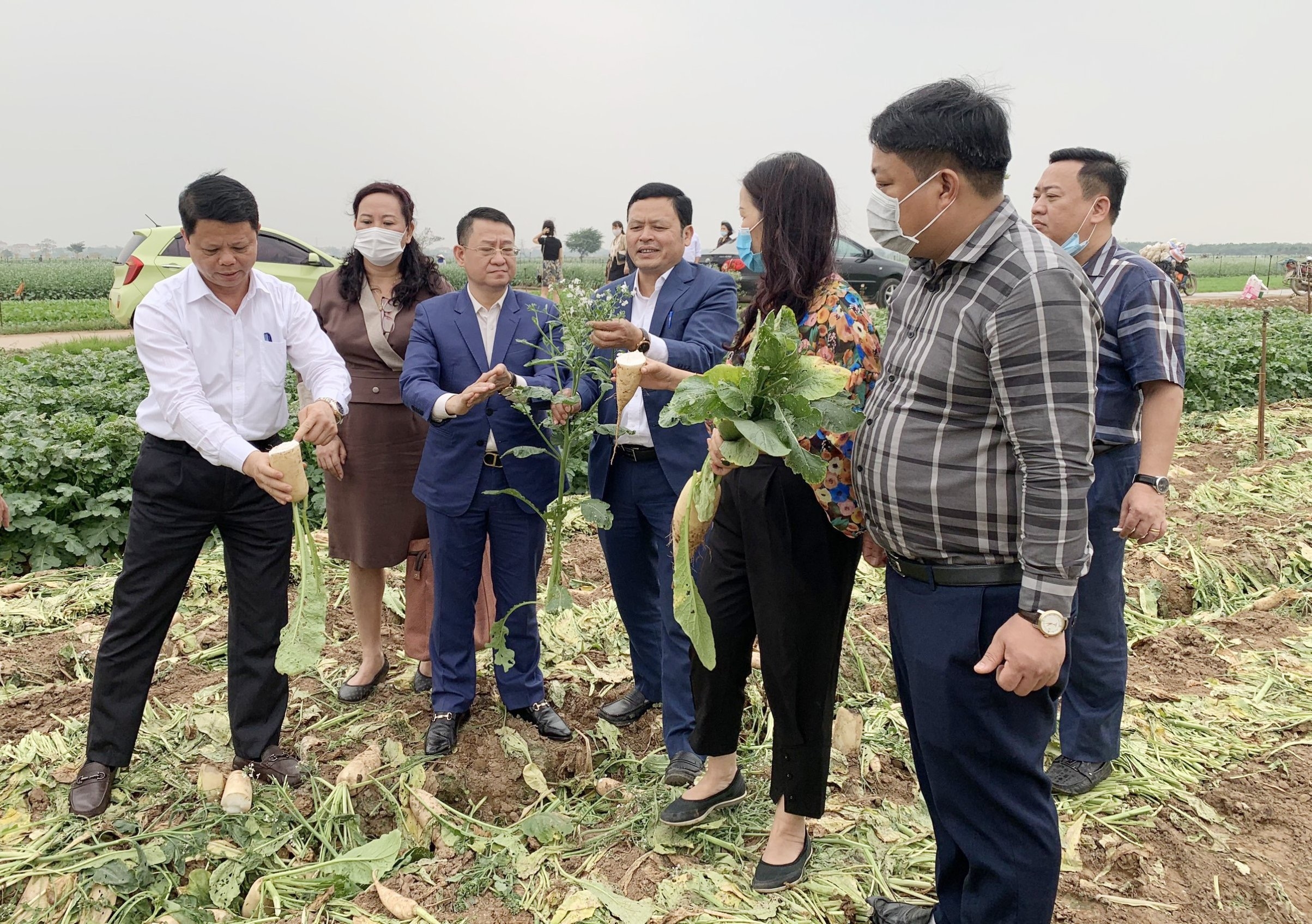 Bàn giải pháp kết nối, tiêu thụ nông sản tại quận Bắc Từ Liêm và huyện Mê Linh