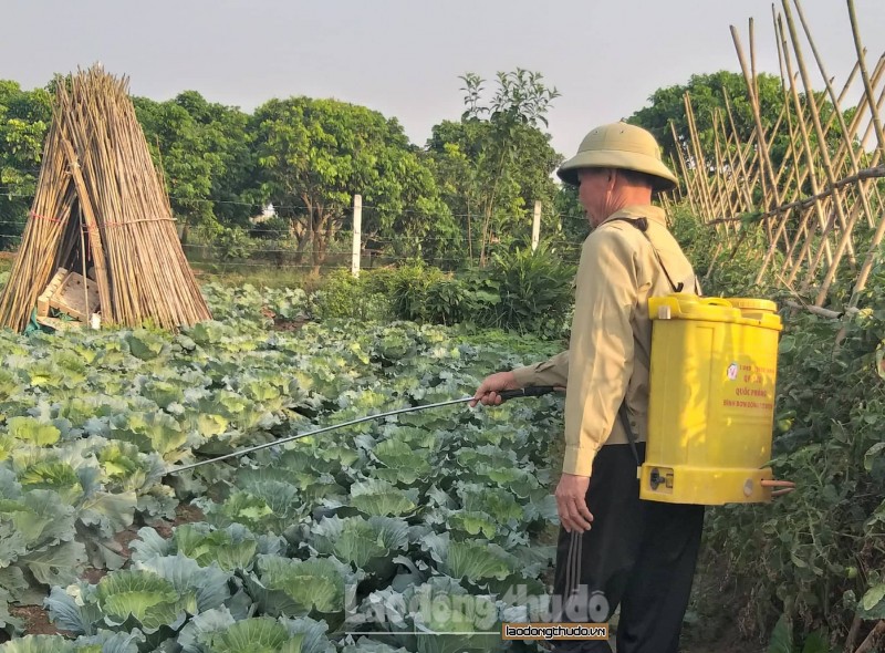 Việt Nam chính thức loại bỏ thuốc bảo vệ thực vật chứa hoạt chất Glyphosate