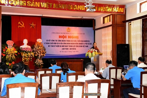Công đoàn ngành Nông nghiệp và PTNT Hà Nội: Triển khai hiệu quả hoạt động chăm lo cho người lao động