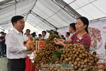 Hưng Yên: Nhiều giải pháp thúc đẩy tiêu thụ sản phẩm nông nghiệp