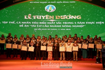 45 tập thể, cá nhân tiêu biểu nhận giải thưởng “Bông lúa vàng Việt Nam” lần thứ III