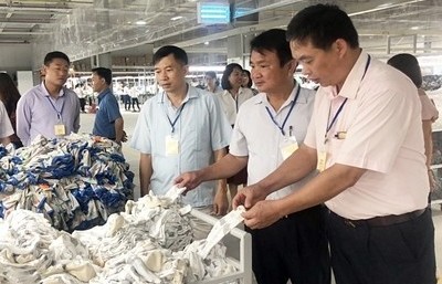 Kiểm tra việc chấp hành các quy định pháp luật tại Công ty ...