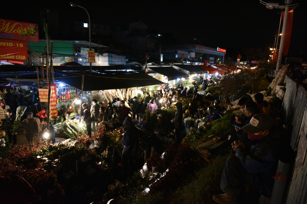Ảnh: Chợ hoa đêm lớn nhất Hà Nội ngày cuối năm