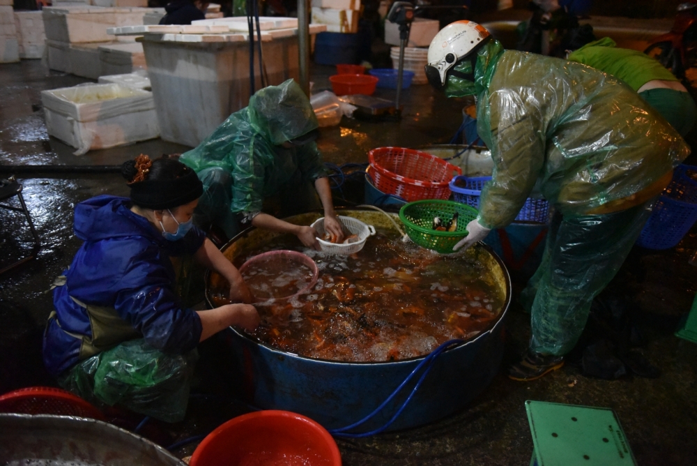 Chợ cá Yên Sở nhộn nhịp trước ngày 23 tháng Chạp