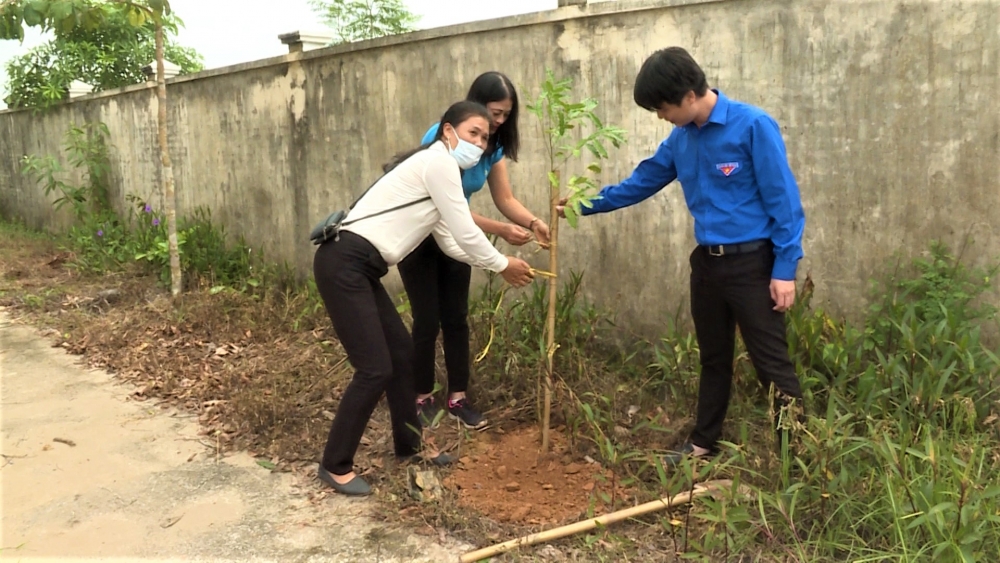 Công nhân viên chức lao động huyện Ứng Hòa hưởng ứng trồng một triệu cây xanh