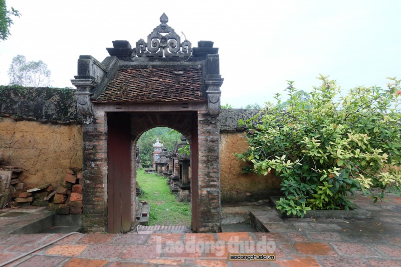 chon to bo da tim thanh than trong tinh lang hu khong