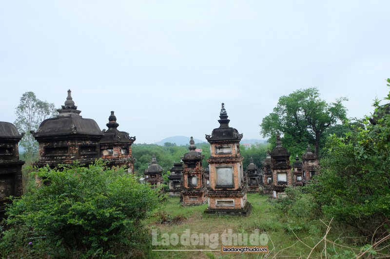 chon to bo da tim thanh than trong tinh lang hu khong