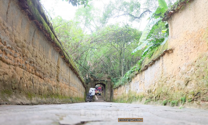 chon to bo da tim thanh than trong tinh lang hu khong