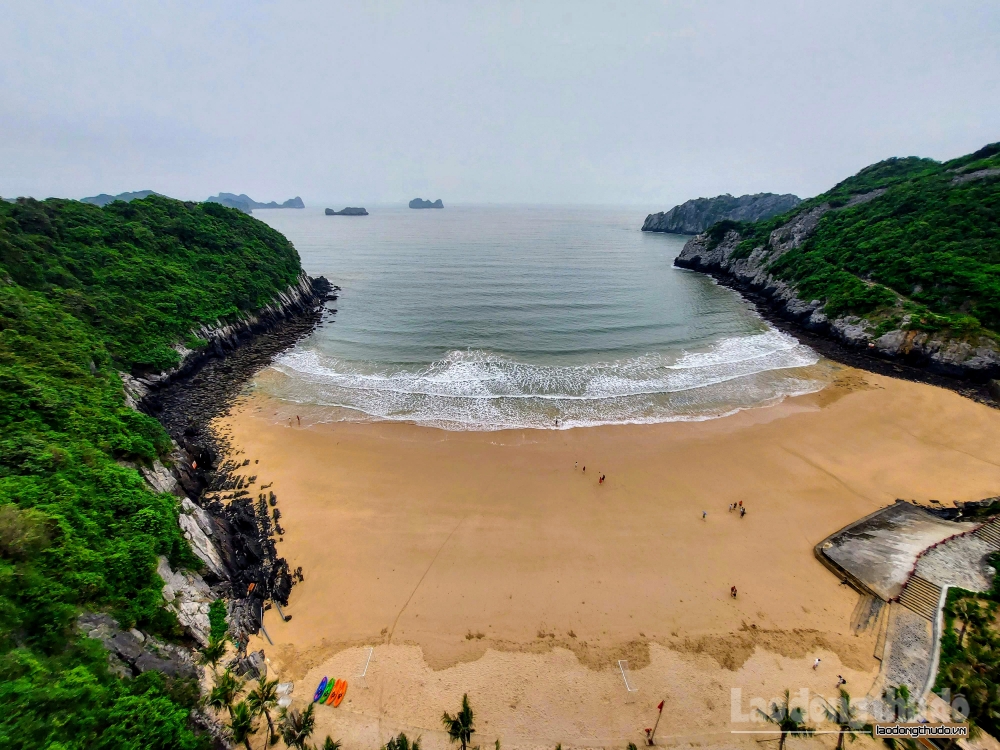 Chung tay bảo vệ đại dương và phát triển bền vững sinh kế biển Việt Nam
