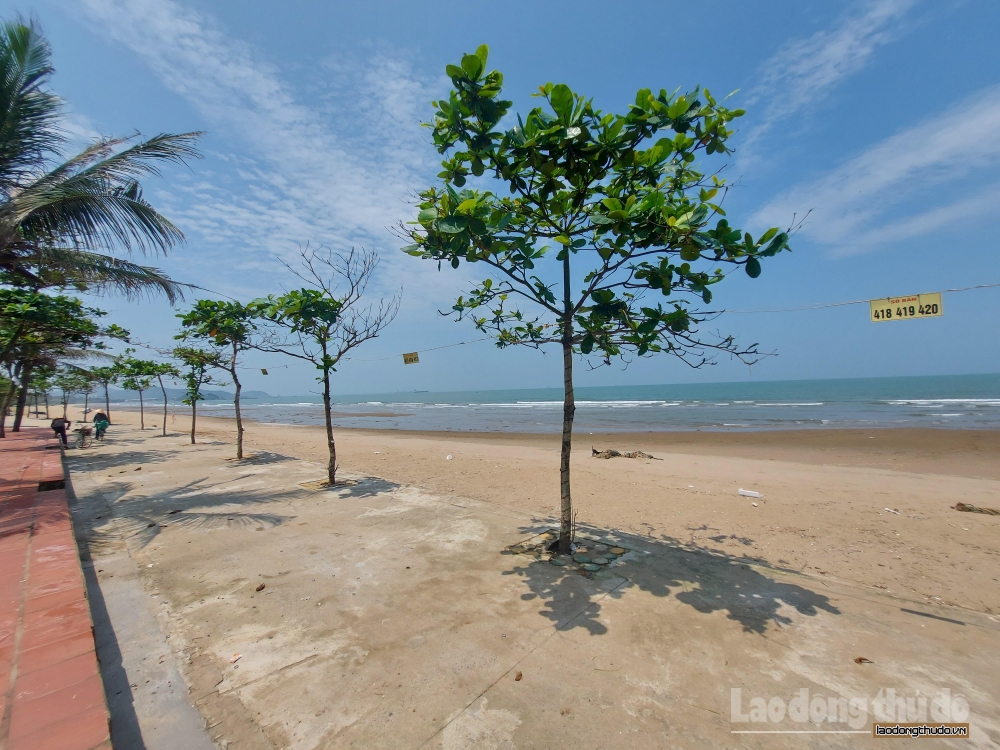 Chung tay bảo vệ đại dương và phát triển bền vững sinh kế biển Việt Nam