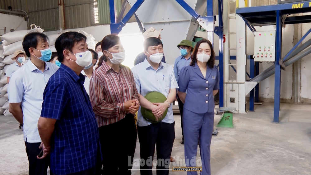 Huyện Ứng Hòa: Cần nâng cao chất lượng hoạt động của các hợp tác xã nông nghiệp